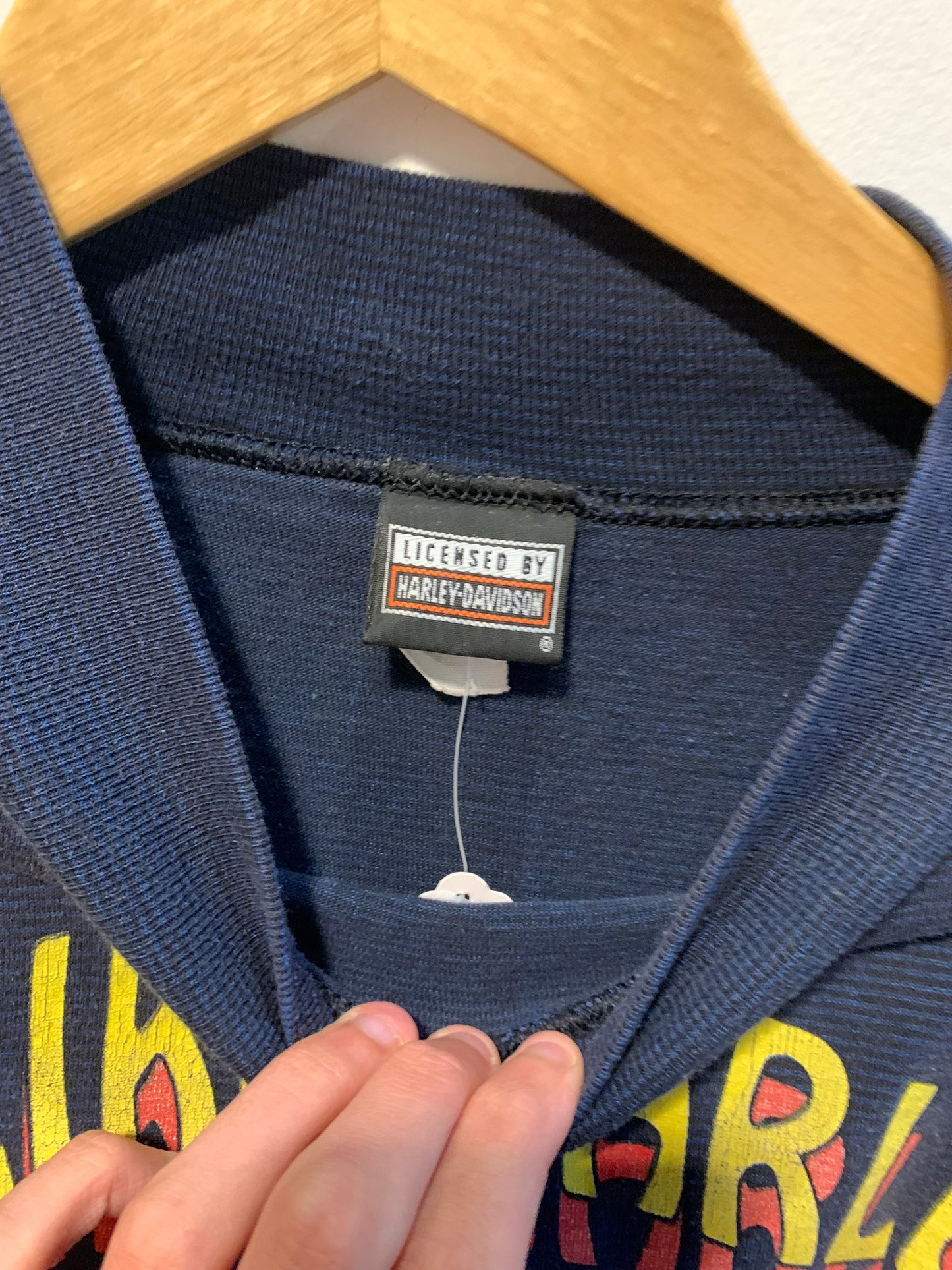 Vintage Harley Davidson x Taz Longsleeve