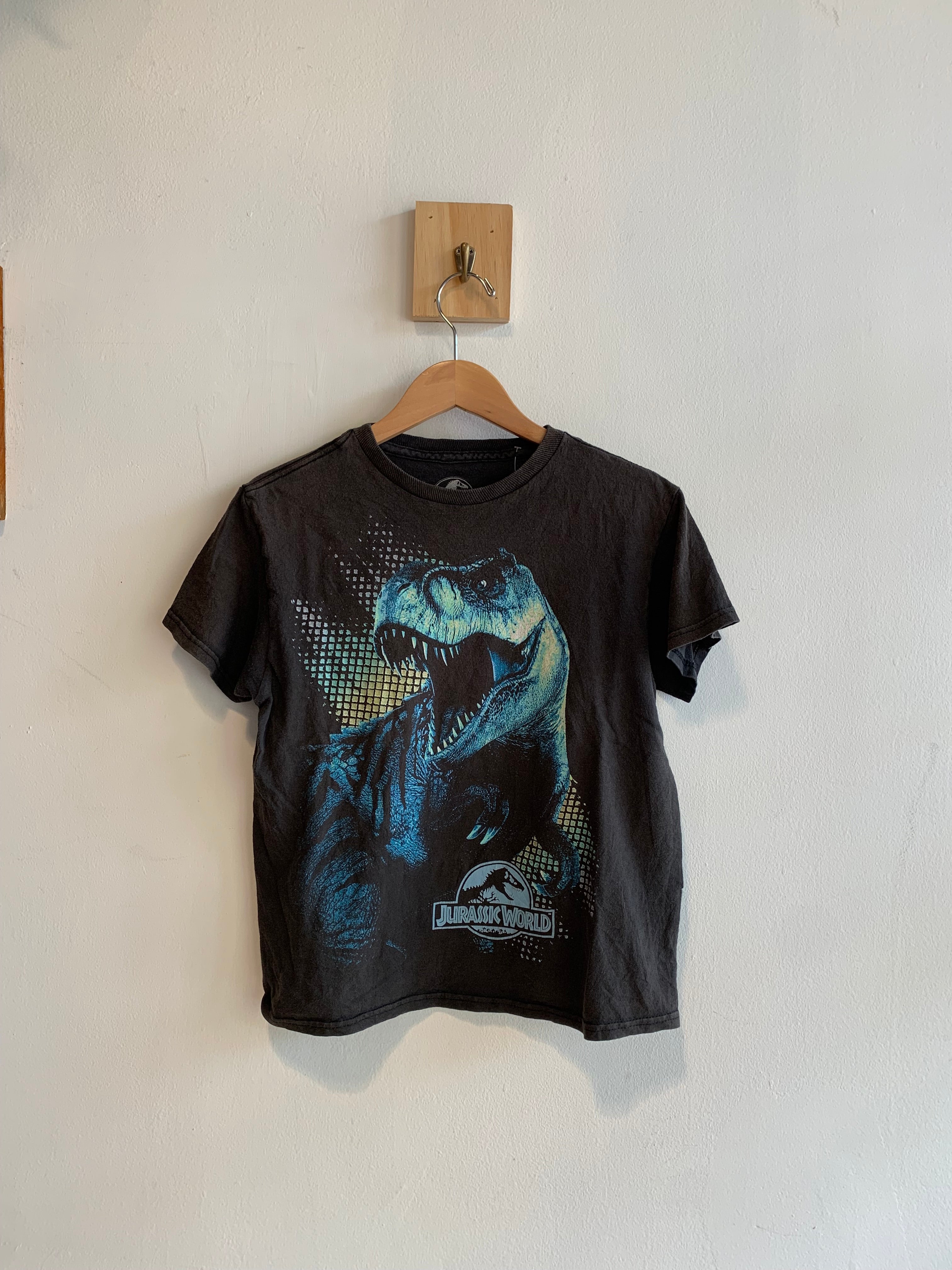 Youth Jurassic World Graphic Tee
