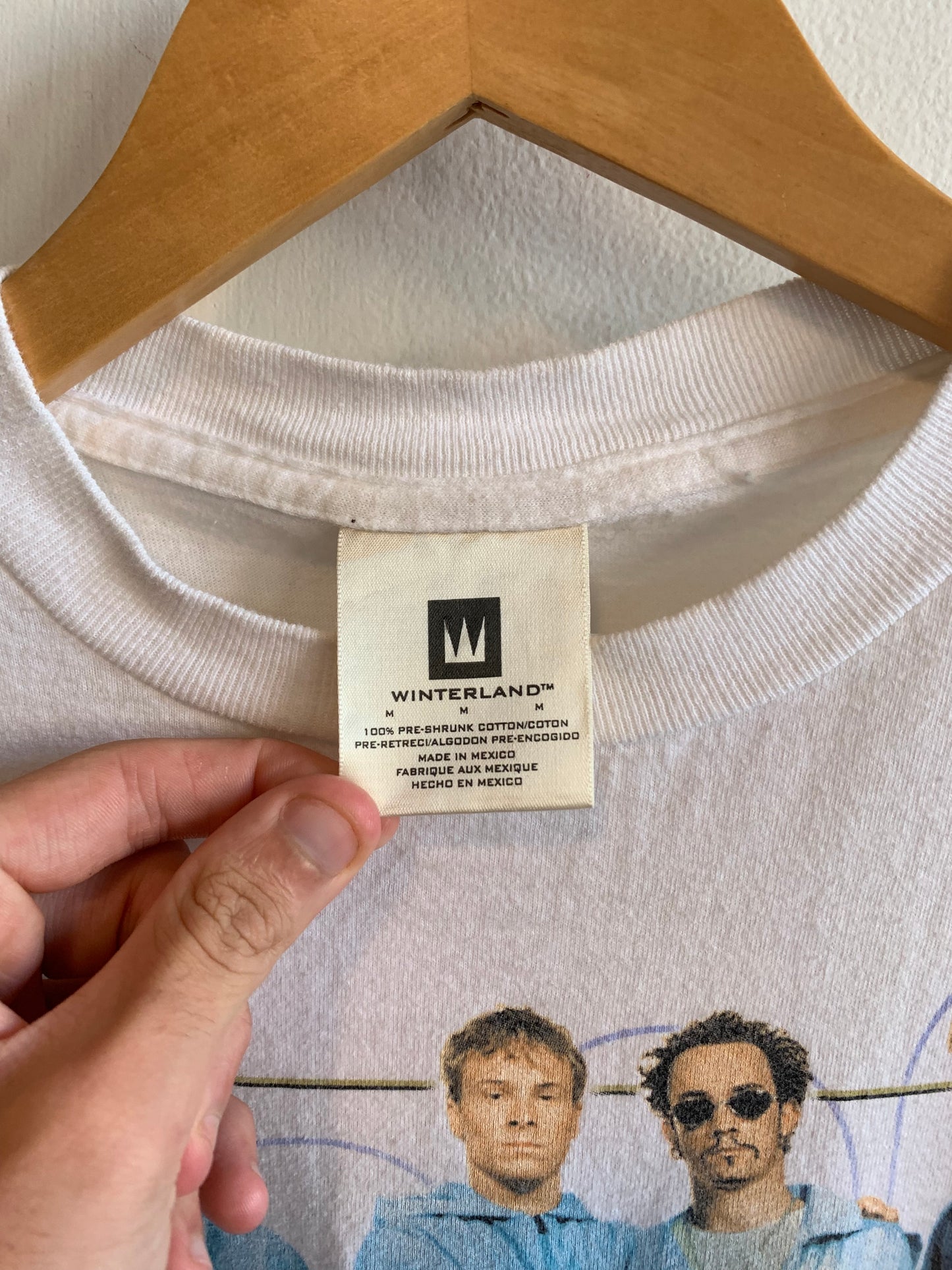 Vintage Backstreet Boys Millennium tour Tee