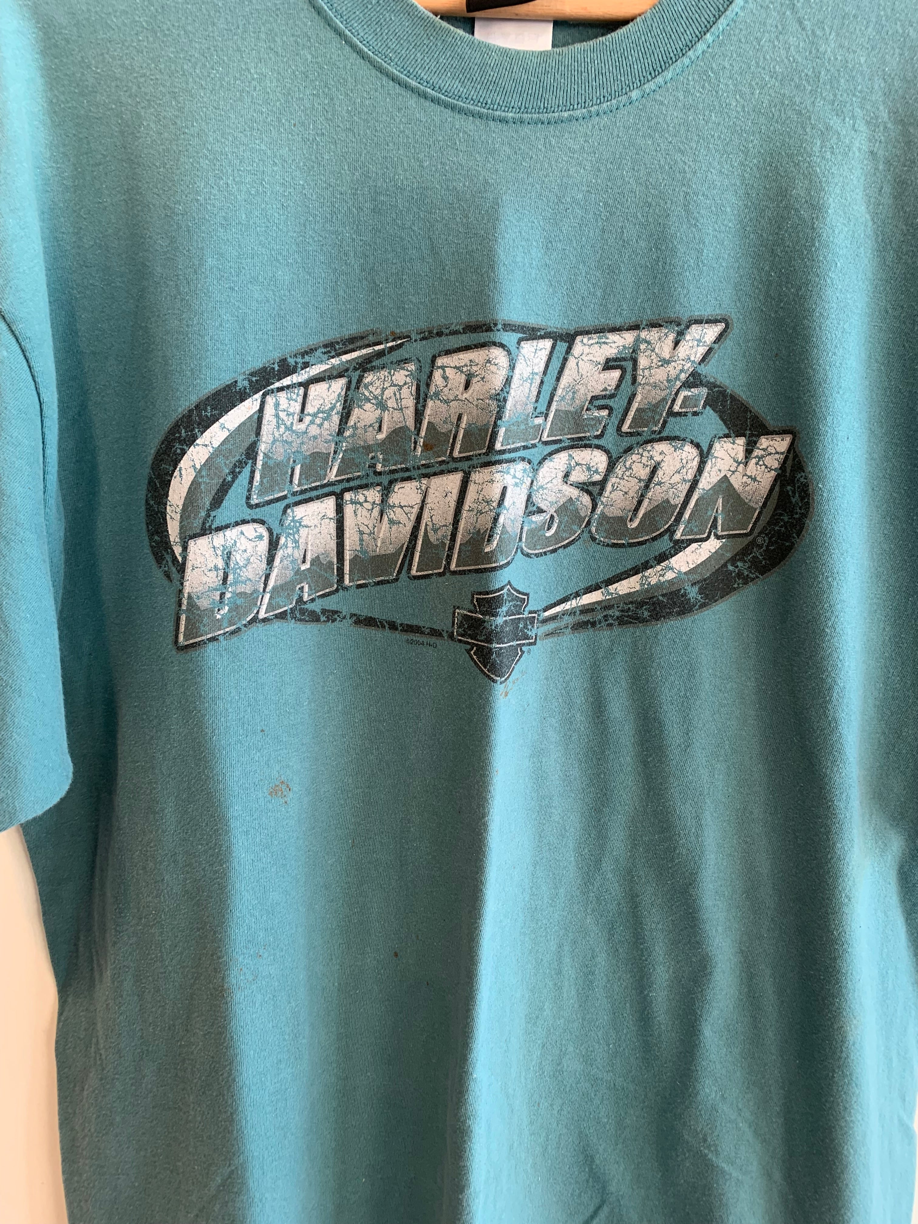 Vintage Harley Davidson Graphic Tee