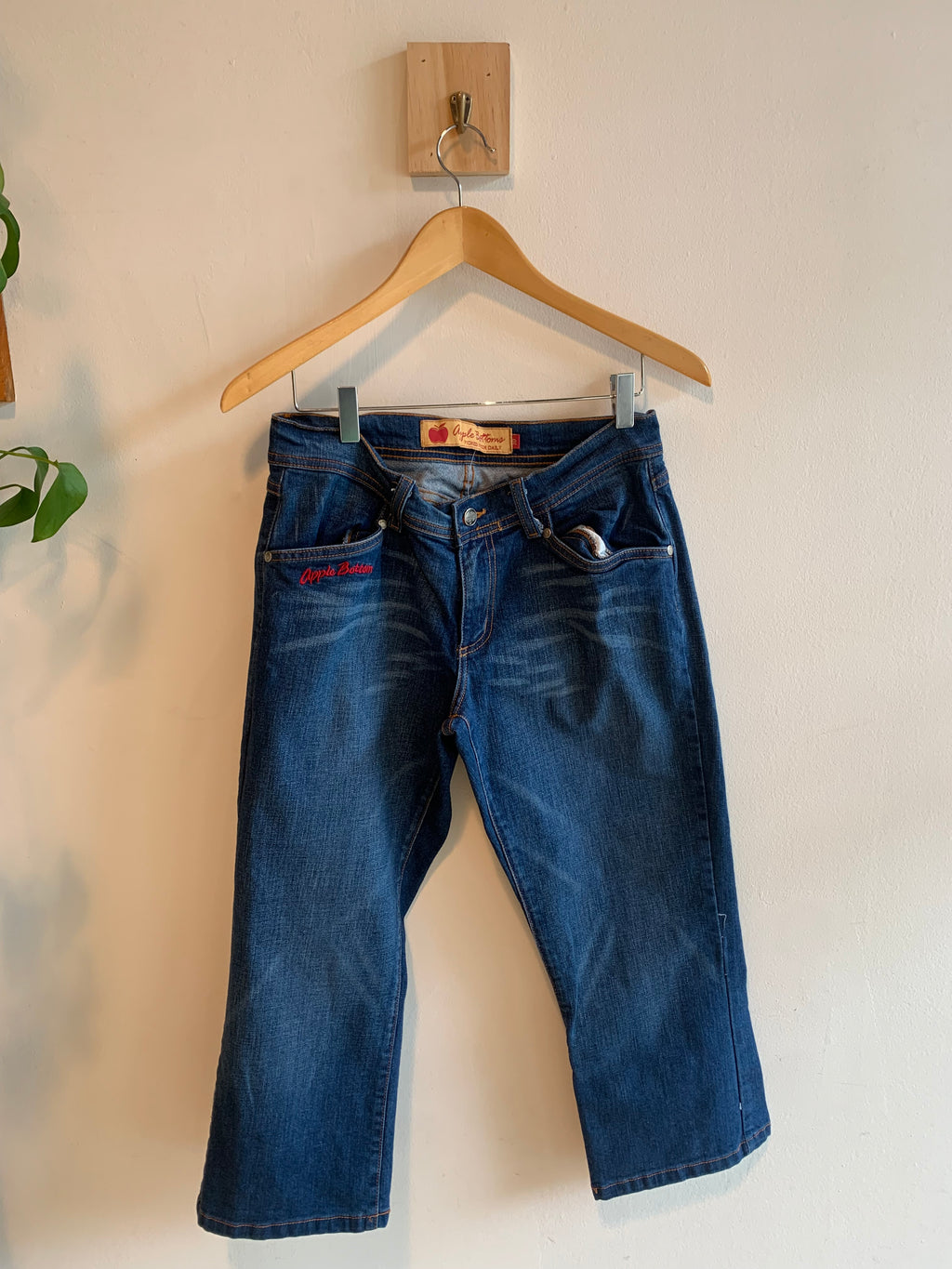 Vintage Apple Bottom Jeans