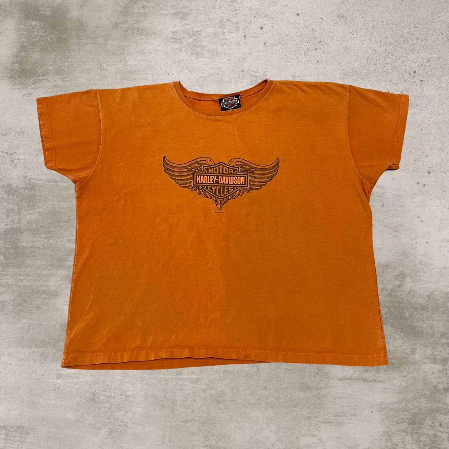 Vintage Harley Davidson Savannah Georgia Cropped Tee